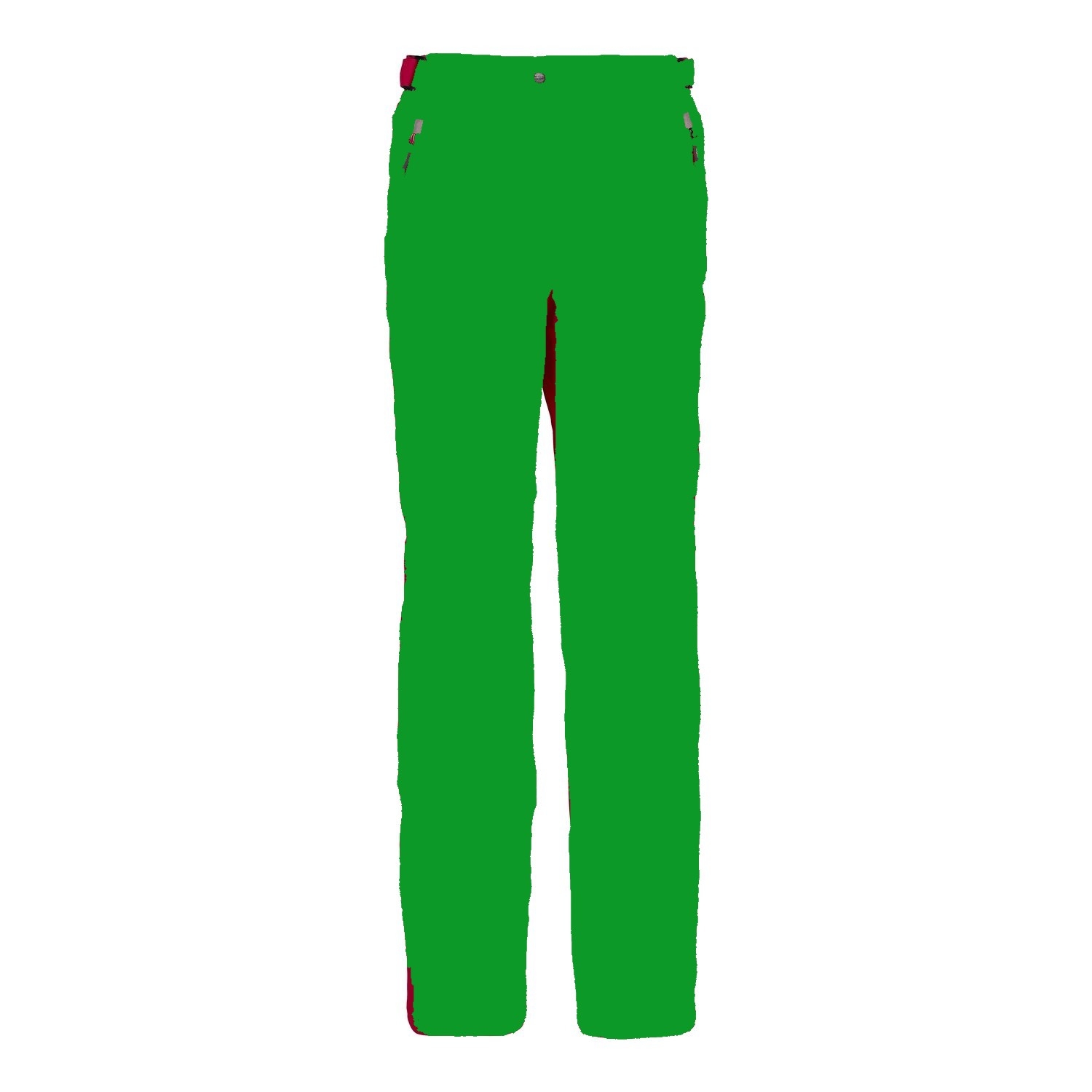 CMP Patmore Ladies Ski Pants Green view 2